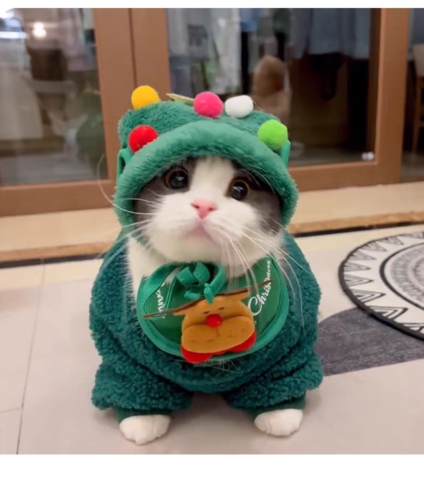 Super cute Christmas pet clothing set
