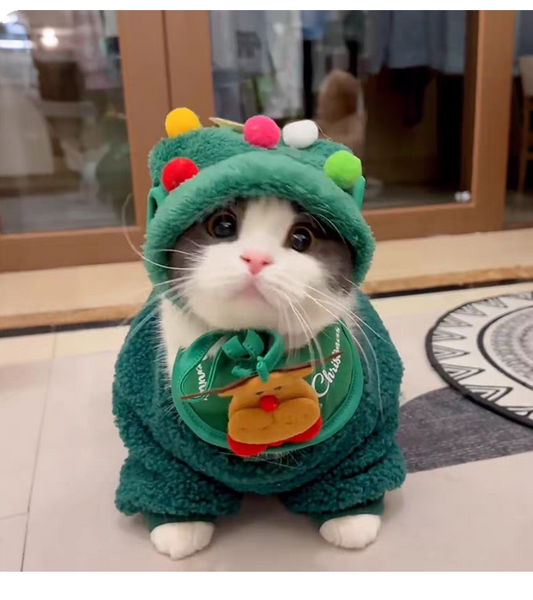 Super cute Christmas pet clothing set