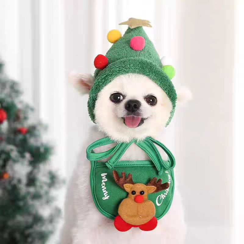 Super cute Christmas pet clothing set
